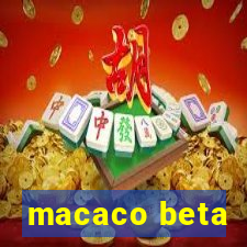 macaco beta