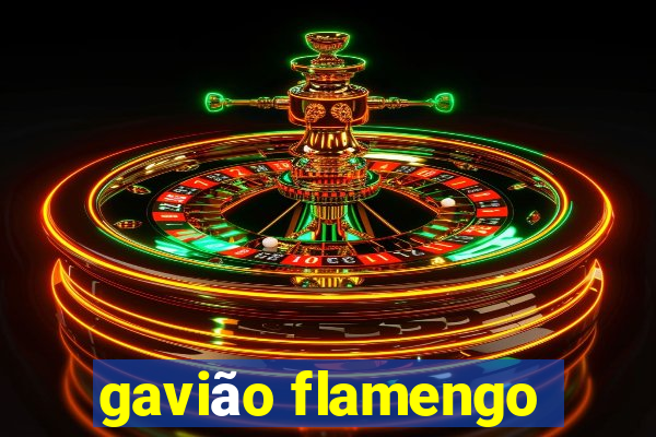 gavião flamengo