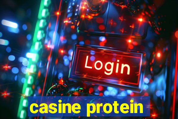 casine protein