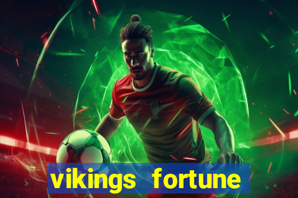 vikings fortune hold and win slot