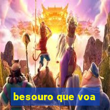 besouro que voa