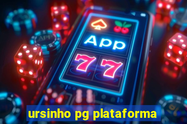 ursinho pg plataforma