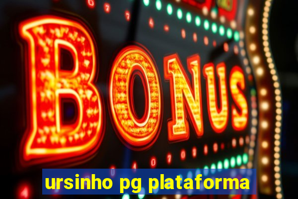 ursinho pg plataforma