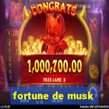 fortune de musk