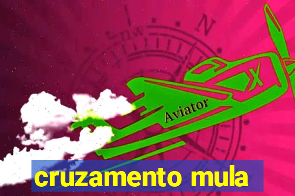 cruzamento mula