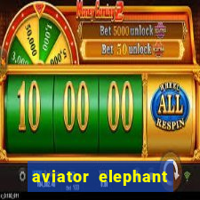 aviator elephant bet login