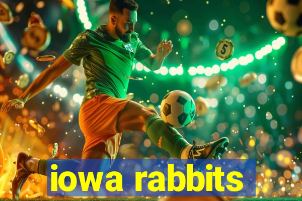 iowa rabbits