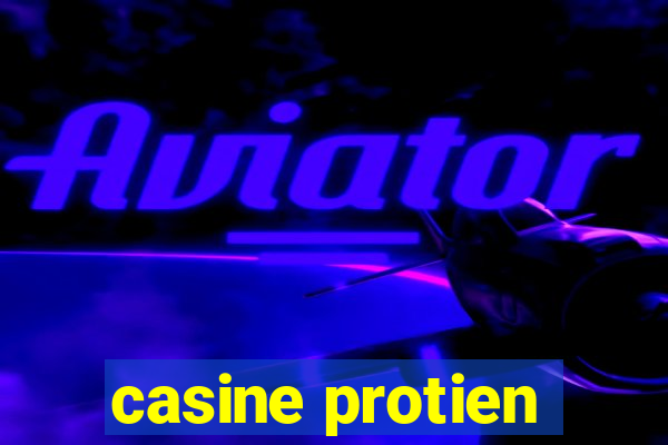 casine protien