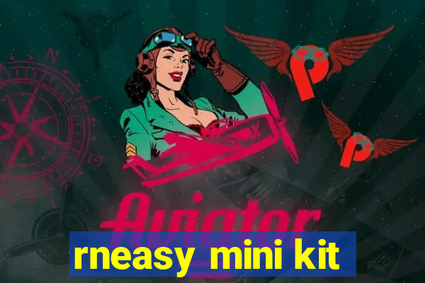 rneasy mini kit