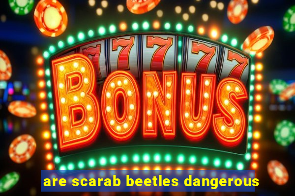 are scarab beetles dangerous