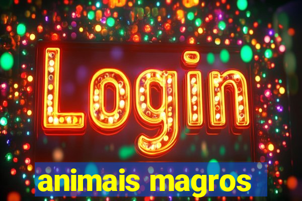 animais magros