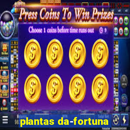 plantas da-fortuna