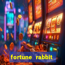 fortune rabbit jogar Informational