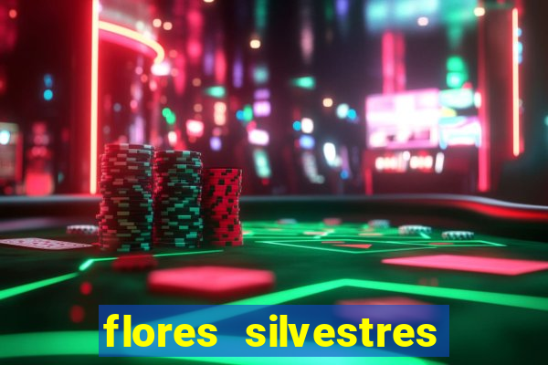 flores silvestres desbravadores desbravadores 25 flores silvestres e seus nomes