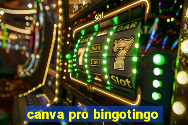 canva pro bingotingo