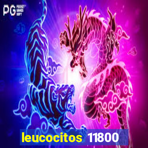 leucocitos 11800