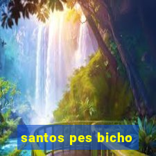 santos pes bicho