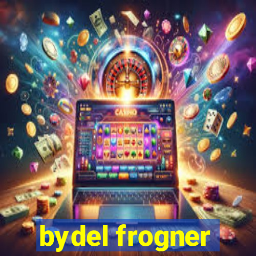 bydel frogner