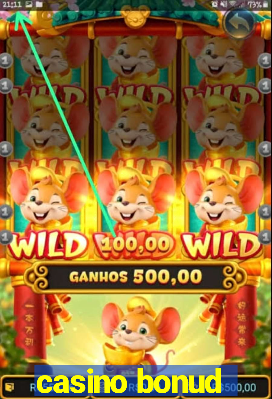 casino bonud