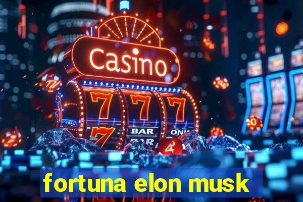 fortuna elon musk